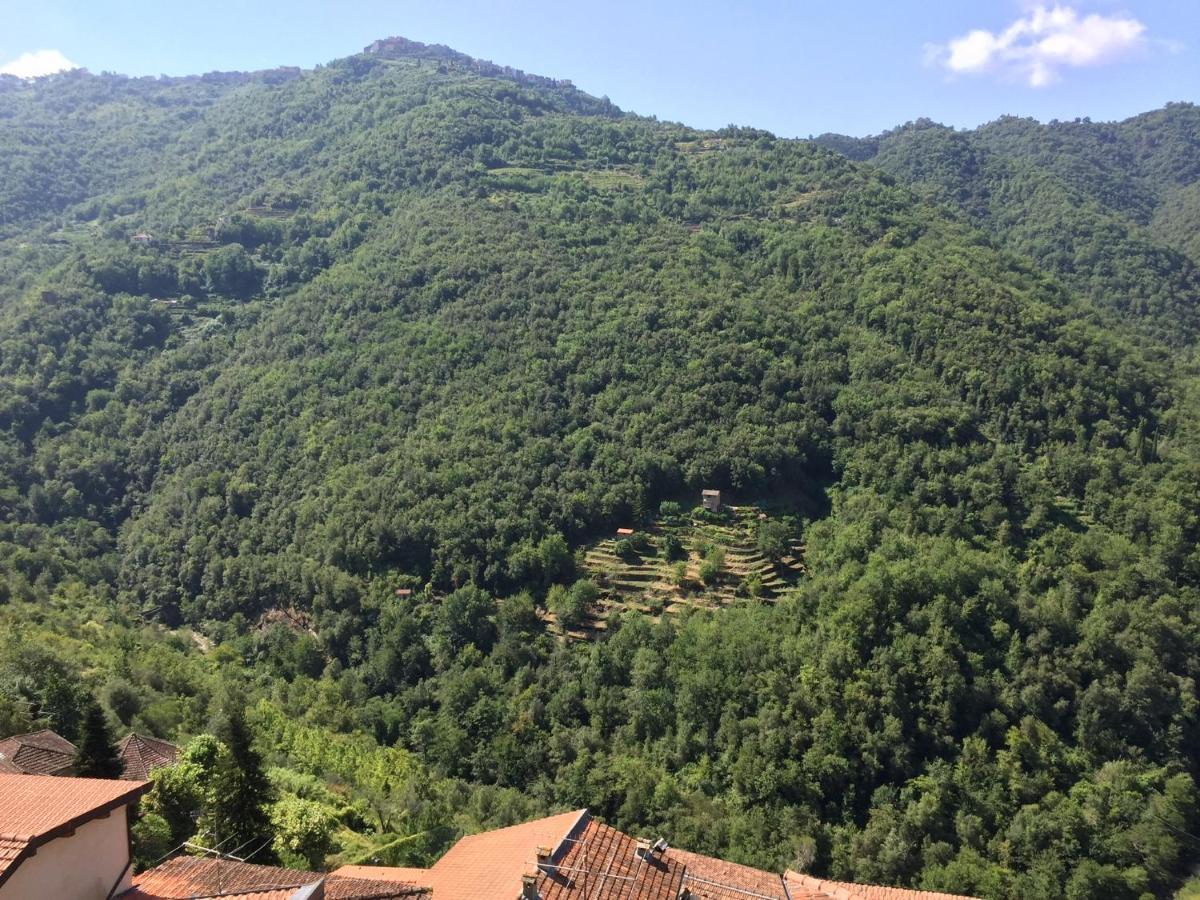 House In The Medieval Village Apricale Dış mekan fotoğraf